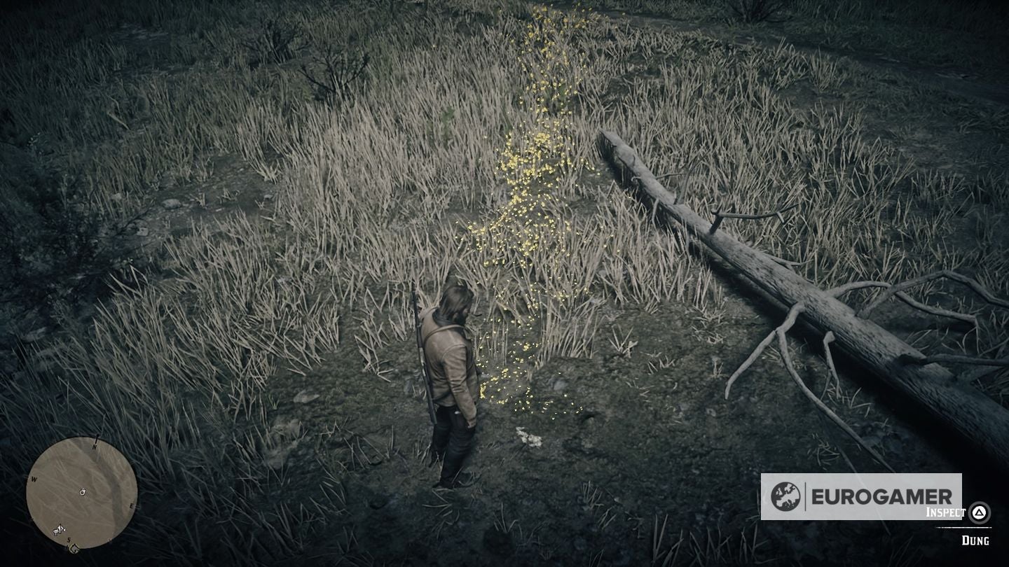 Red Dead Redemption 2: Legendäre Tiere und alle Fundorte | Eurogamer.de